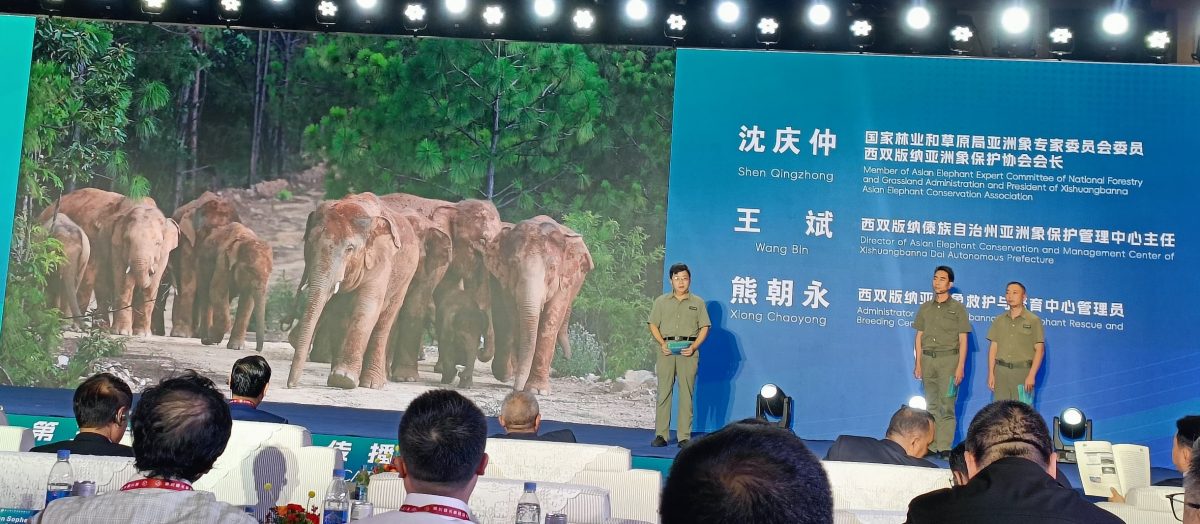  （大北马）南亚东南亚媒体联盟年会在中国西双版纳举行 聚焦深化合作与区域交流