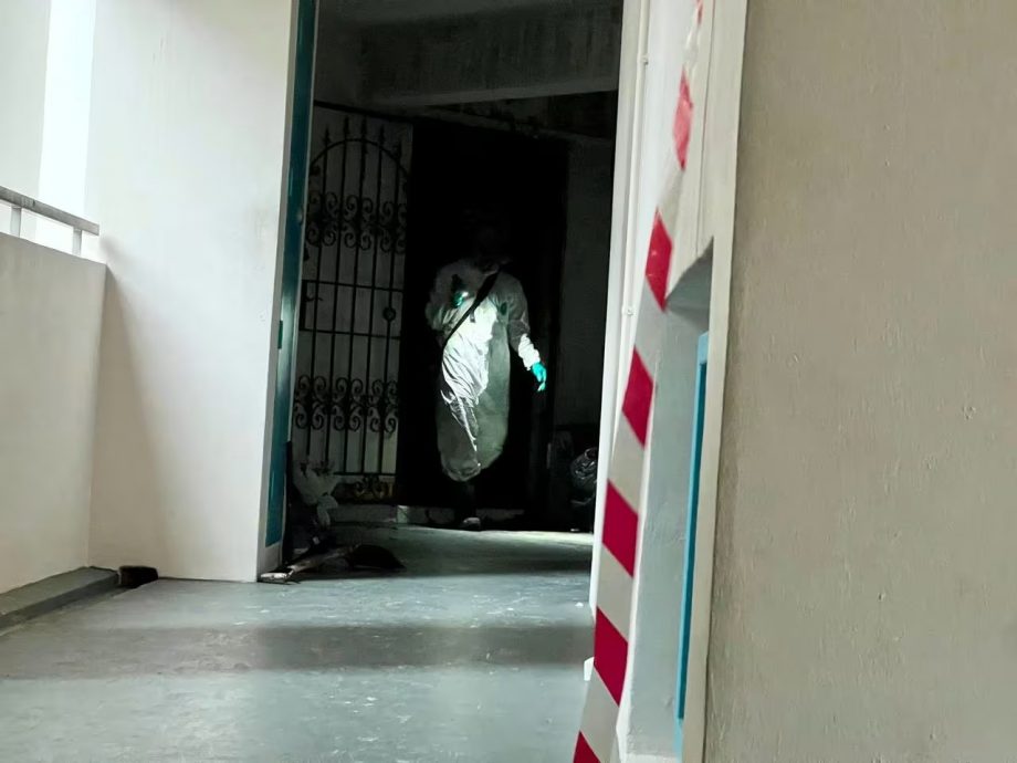 (已签发)柔:狮城二三事:后港组屋火患3死 邻居指死者家废物堆积臭难当