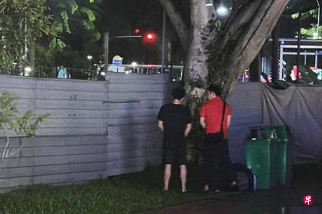 (已签发)柔:狮城二三事:新加坡没厕所? 又有2男子公然撒尿被拍到