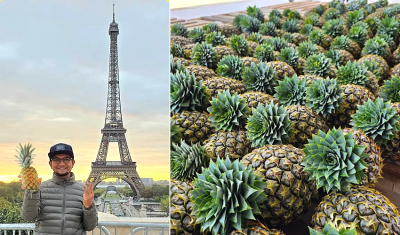 Malaysian pineapples now available in France, NZ, export to cross RM1b