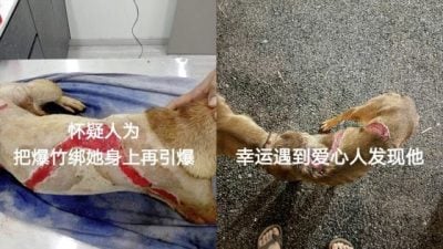 曾毓林／“为什么这样对我？”