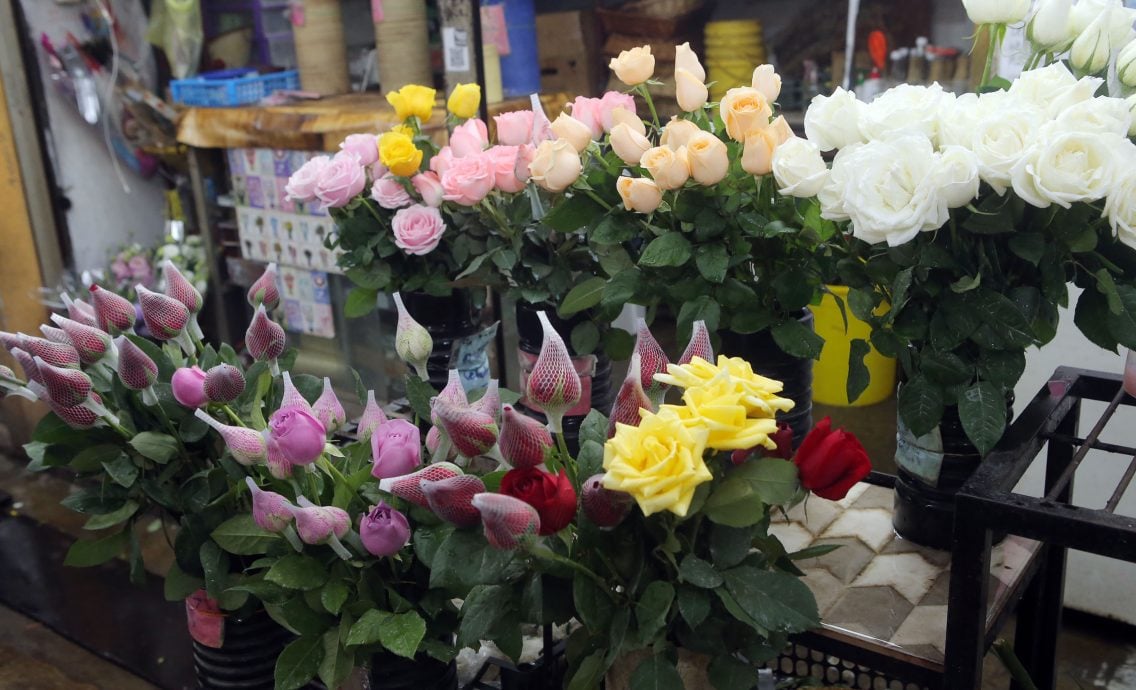 ★2月12日见报/巴刹职人5 | 怡中央公市花香满溢 梁丽君花艺巧手