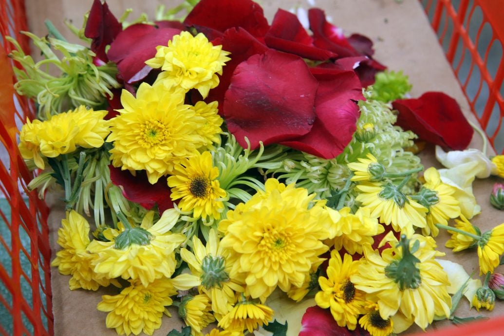 ★2月12日见报/巴刹职人5 | 怡中央公市花香满溢 梁丽君花艺巧手