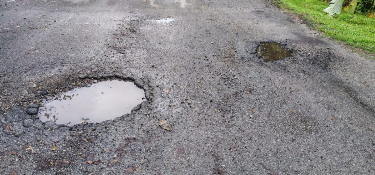 东:加叻英达花园处处是坑洞