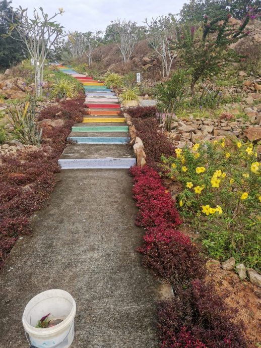 乐活频道 | 一步一脚印栽种花草 义工美化守护义山