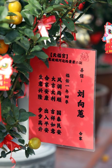 刘德华化名“刘亚荣”赞助巴生蛇庙为永久炉主