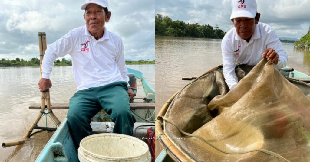 全长不到10毫米 全球最小鱼在东马