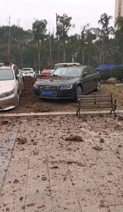 四川男童引爆沼气炸毁保时捷、宝马 最终要赔……