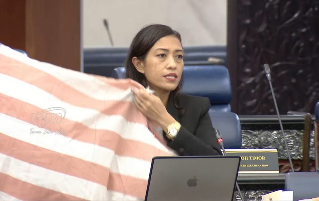 国会／国旗事件／斯丽娜：不应选择性愤怒