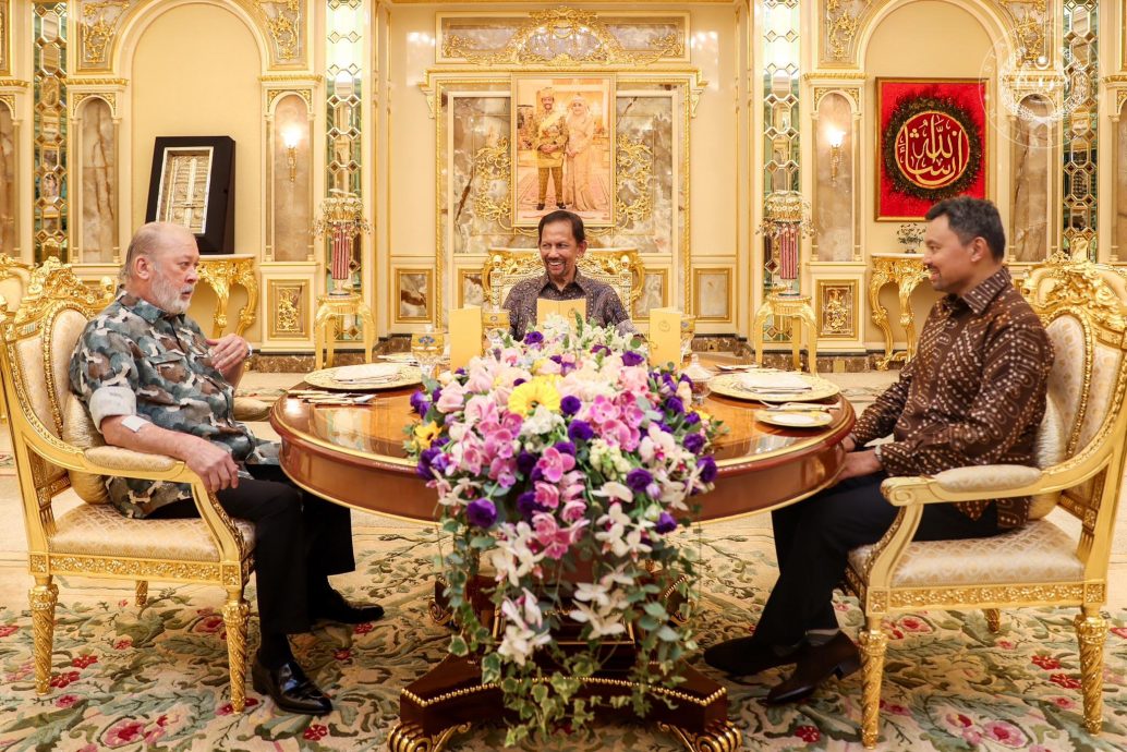 国家元首苏丹依布拉欣