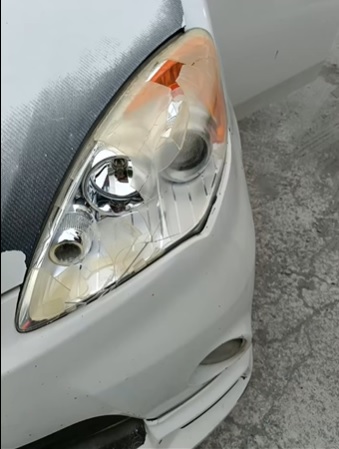 大道行驶遇野象袭击 众女惊吓诵经祈保佑