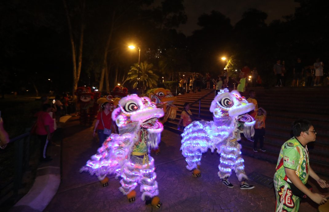 大都会/主文/各族伴舞狮和夜光龙绕湖池庆祝新春 杨巧双国会选区办新春捞生不忘做运动