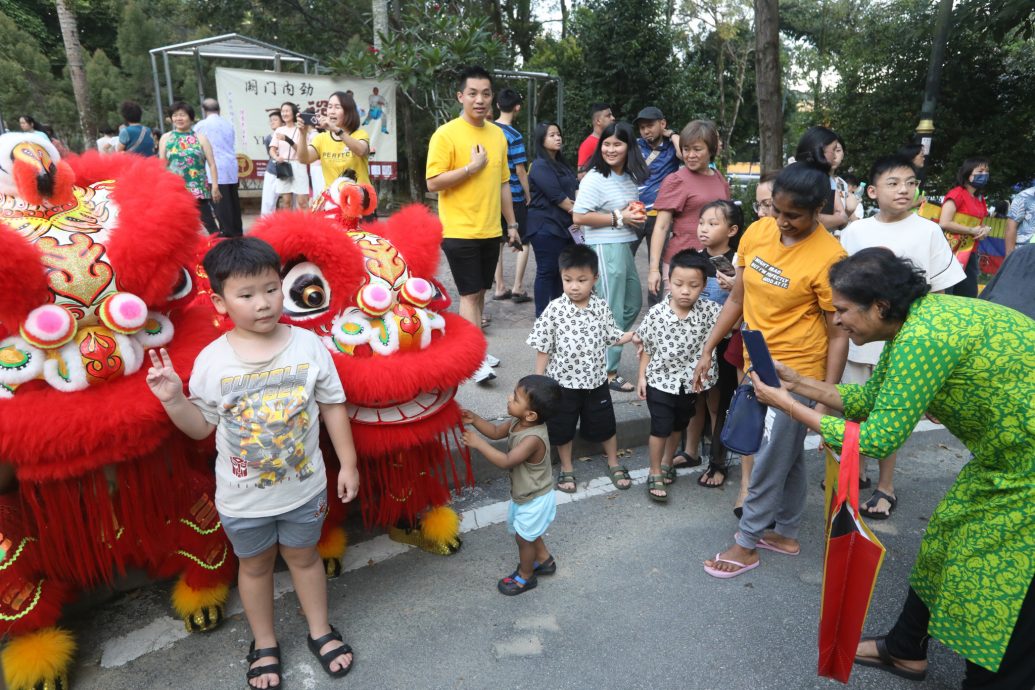 大都会/主文/各族伴舞狮和夜光龙绕湖池庆祝新春 杨巧双国会选区办新春捞生不忘做运动