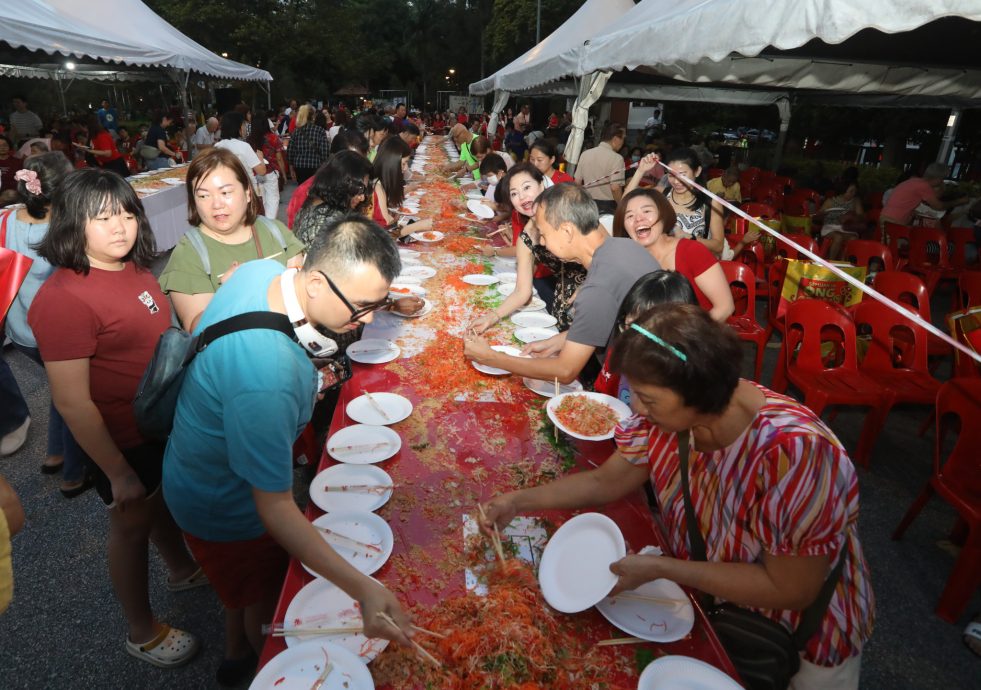 大都会/主文/各族伴舞狮和夜光龙绕湖池庆祝新春 杨巧双国会选区办新春捞生不忘做运动