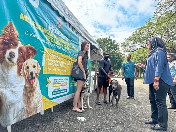 巴生王城市厅拟建流浪狗收容所 设领养专区助控犬只数量