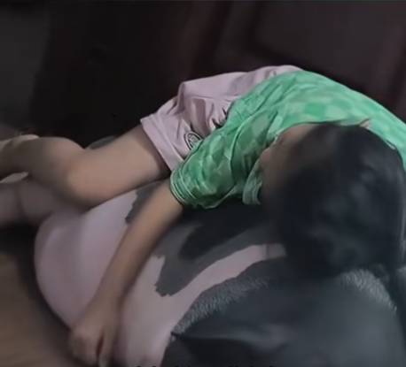 广西女乡下带小猪回城养 一年由500克变150公斤