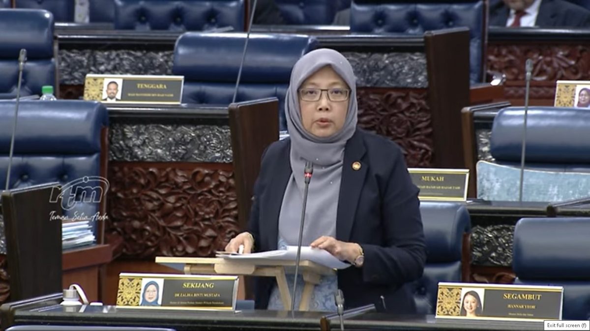 扎丽哈：已研究四大方案 隆市拥堵费料减20%车流