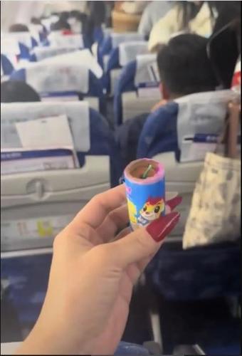 拚图)乘客称在飞机上捡到鞭炮 律师：真假都有人担责