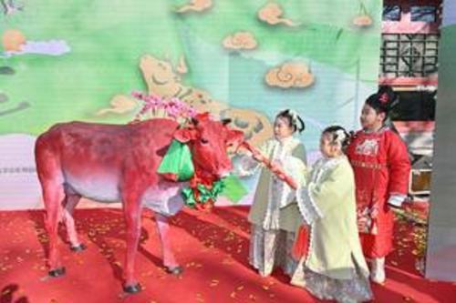 拼盘 未签 “鞭打春牛”迎立春