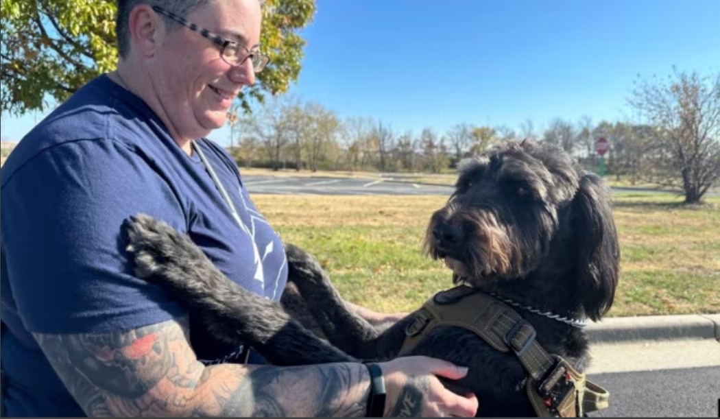 军犬疗愈心灵  退伍军人重获新生