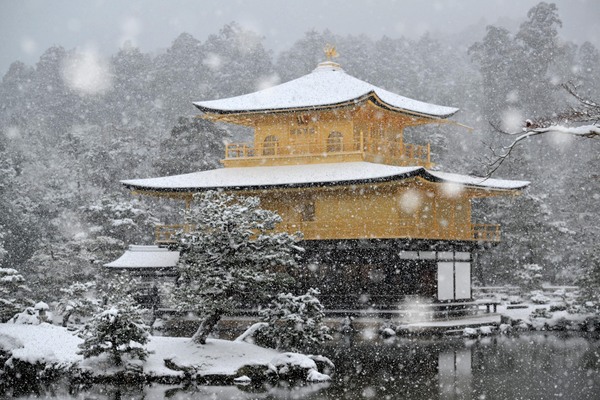 最强寒流袭日本 大雪酿1死26伤、金阁寺现雪化妆