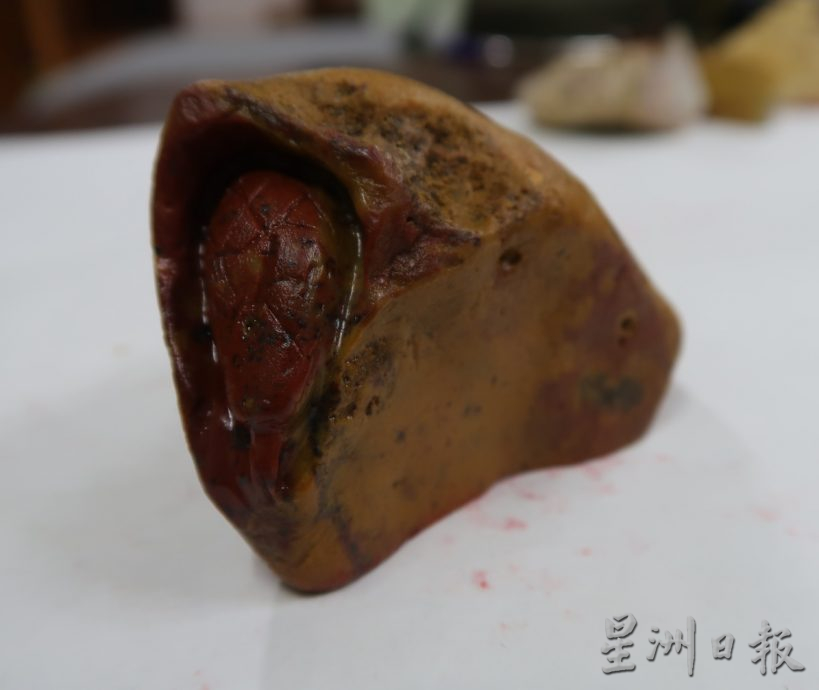 柔:封底:蛇雕印章