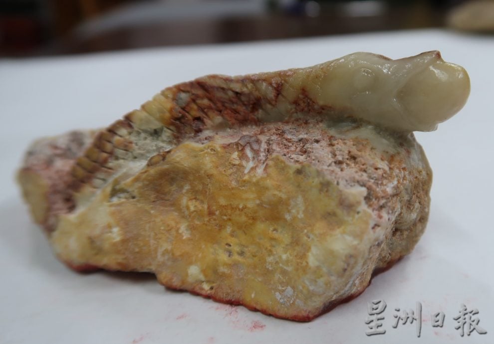 柔:封底:蛇雕印章