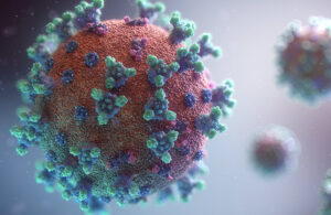 武汉研究所在蝙蝠身上发现新的冠状病毒 类似冠病病毒