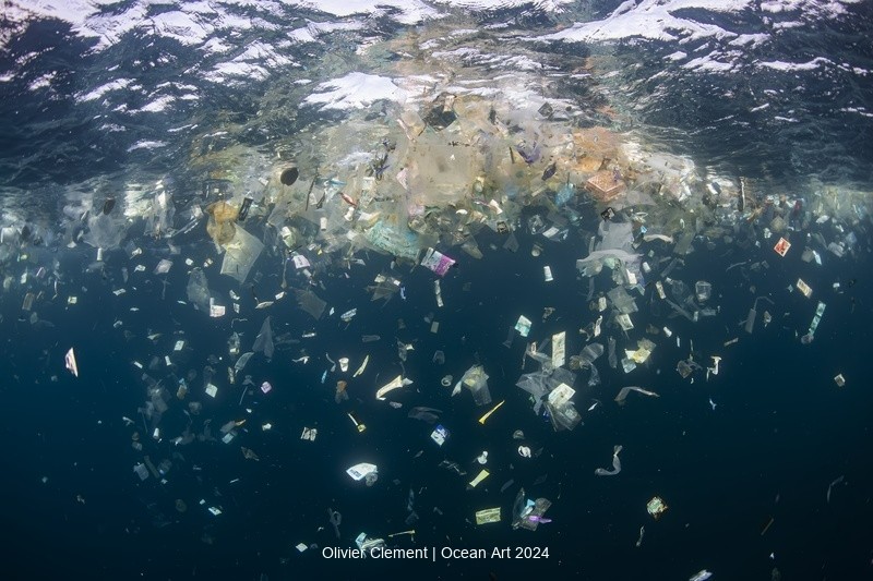 深海“幽灵”无差别夺命 摄影师拍下心碎一幕结局