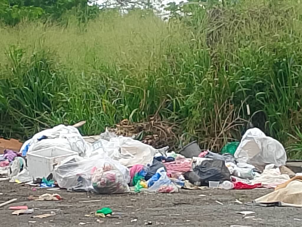 清洁落后许多国家 槟消协促停止乱丢垃圾