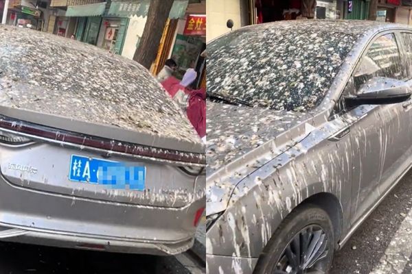 游客“路边停车3天”回来一看崩溃！　居民笑：外地人专用车位