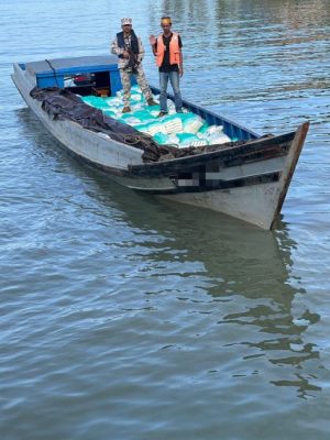 湖河拦截货船 海事执法机构起9600公斤白糖