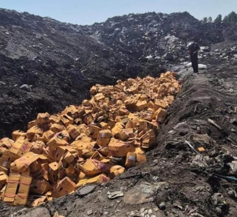 用染色剂被中国揭发退货 泰销毁64吨榴梿