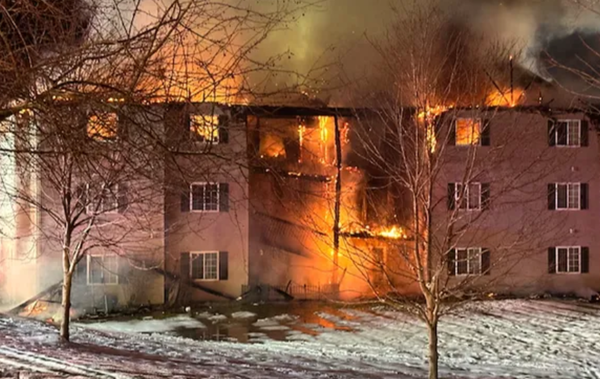 睡梦中比特犬突然狂吠！女醒来发现大火　英雄狗救了整栋住户