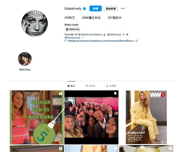 碧琪丽芙莉社群网遭骇客入侵 被色情视频洗版