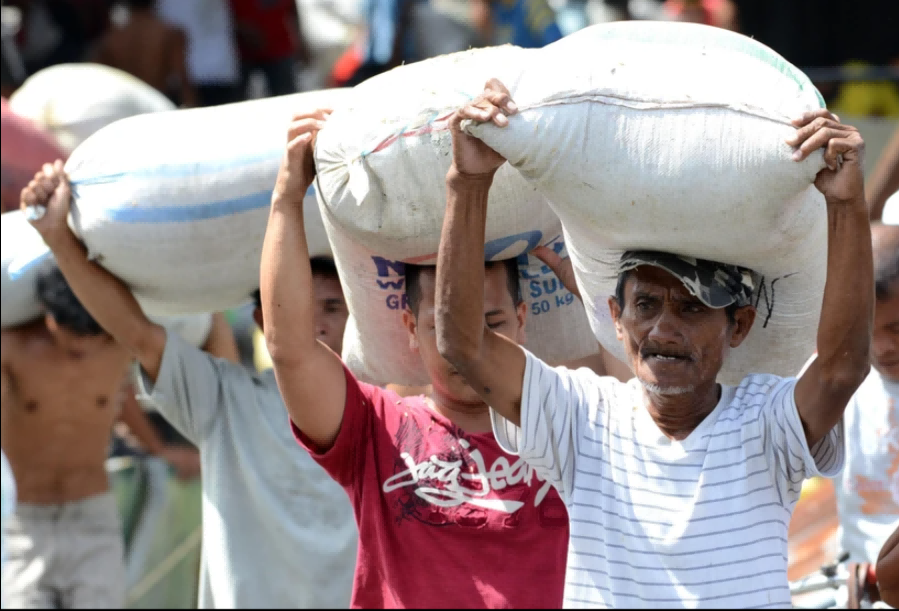 米价居高不下 菲律宾或发放大米缓冲储备