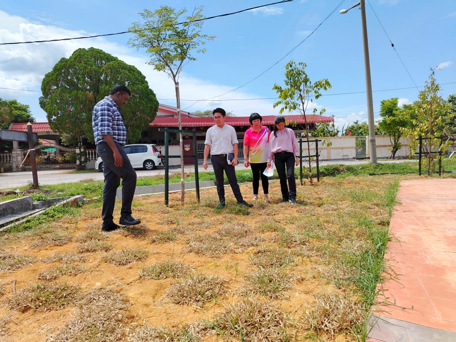 胡姬园昌明公园开幕半个月 花草遭毒死枯萎