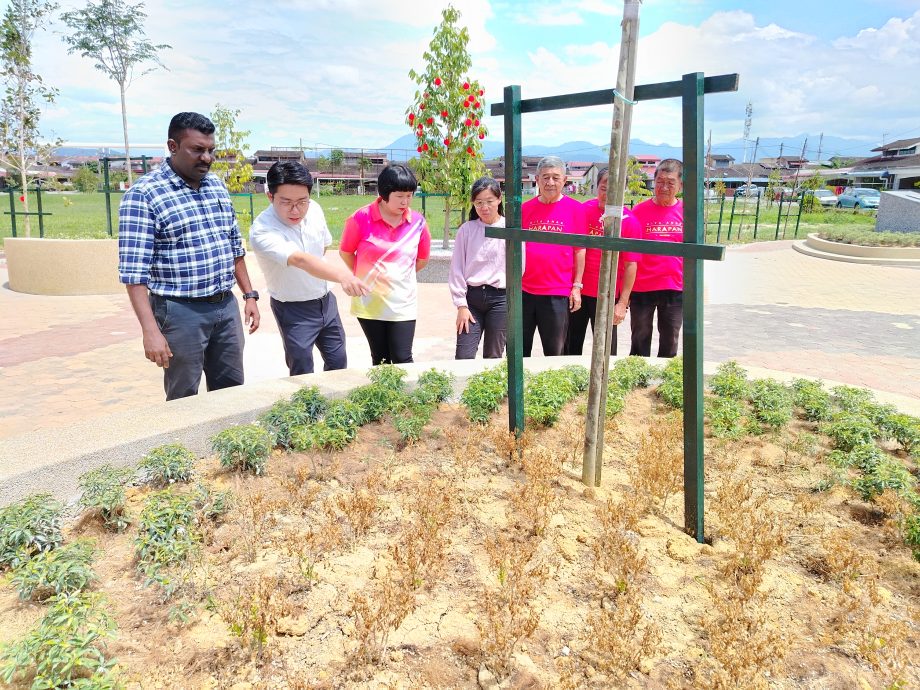 胡姬园昌明公园开幕半个月 花草遭毒死枯萎