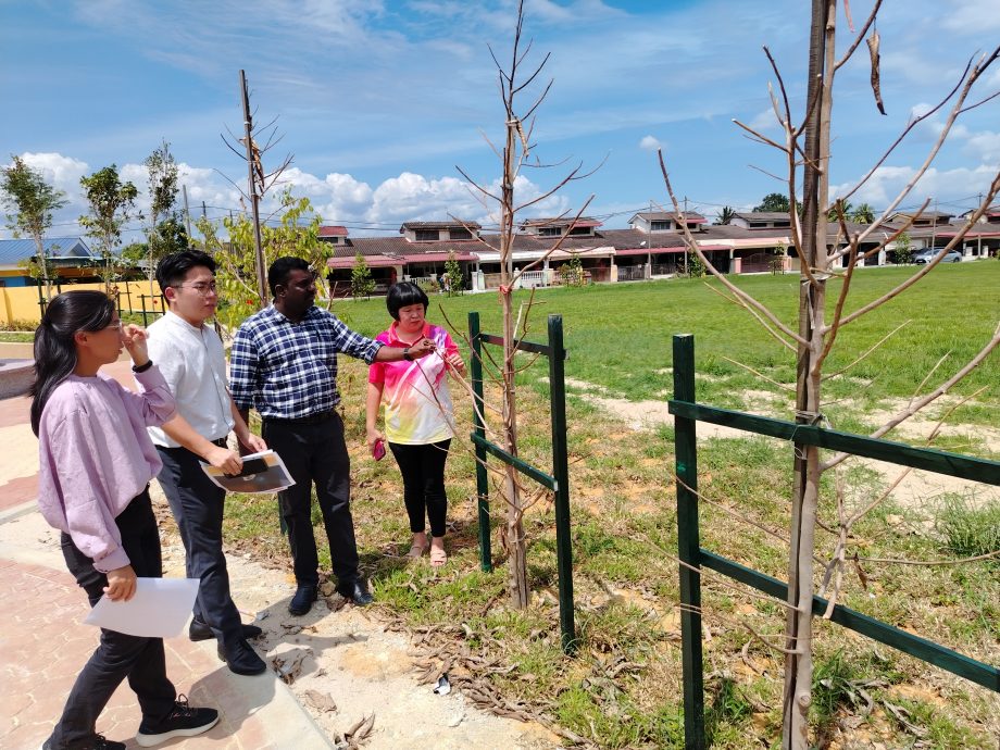 胡姬园昌明公园开幕半个月 花草遭毒死枯萎