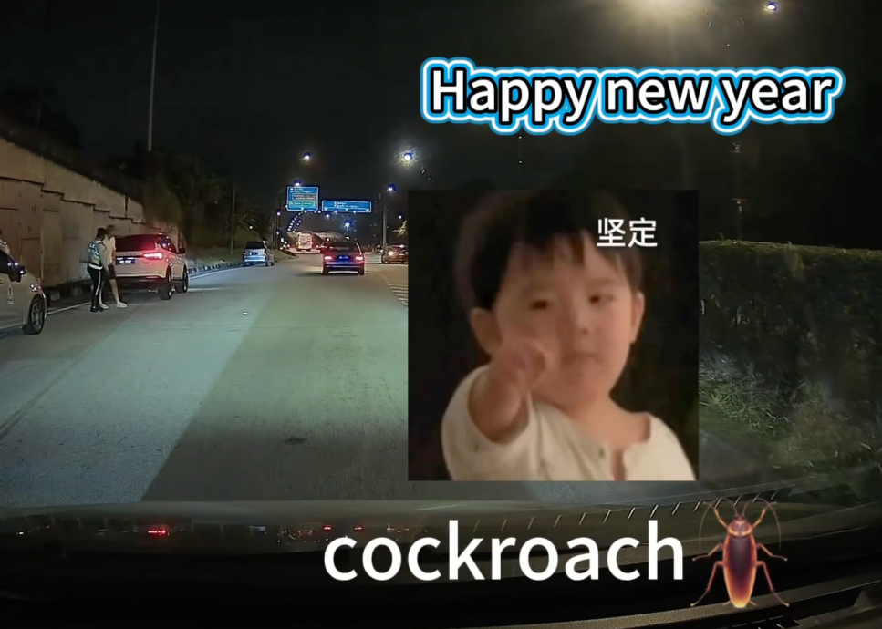 视频|女子遇路检尖叫连连 不是怕警察而是怕这个!