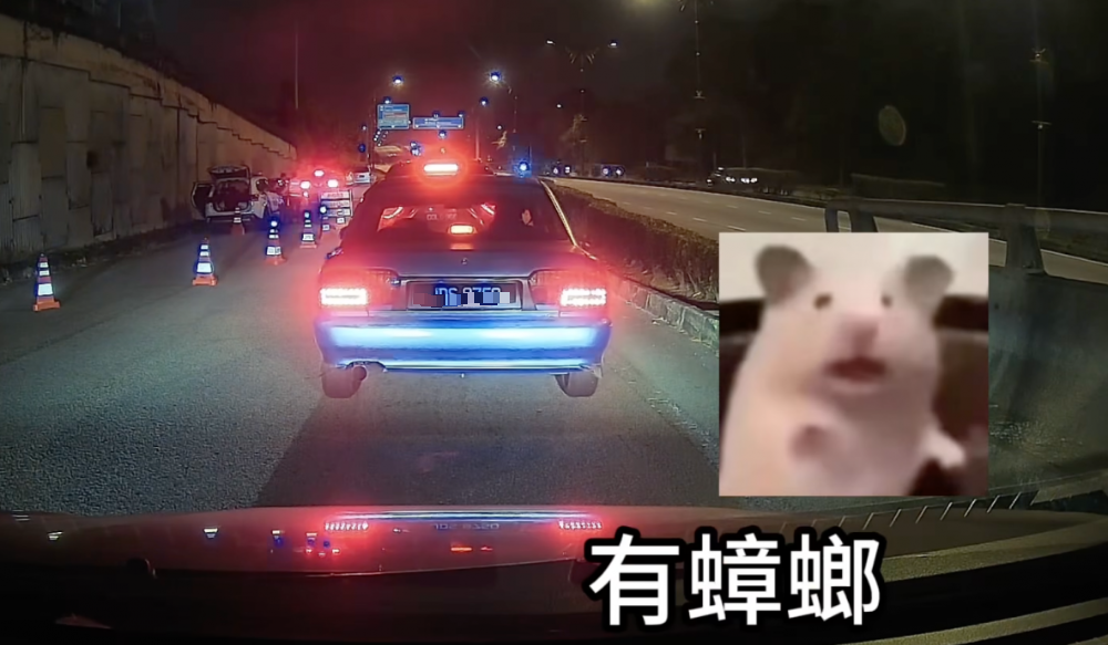 视频|女子遇路检尖叫连连 不是怕警察而是怕这个!