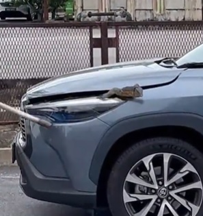 视频|无惧水火竟怕蜥蜴！ 消拯员打开引擎盖吓到弹开 