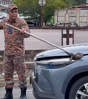 视频|无惧水火竟怕蜥蜴！ 消拯员打开引擎盖吓到弹开 