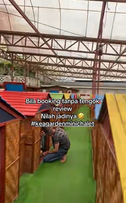 视频|胶囊式小木屋如鸡舍 “上厕所回来忘了住哪个笼子”