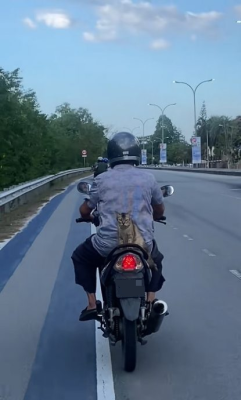 视频|虎斑猫淡定坐摩托兜风 网笑:后座的没戴头盔