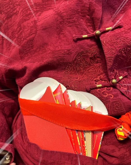 赵丽颖过年独身返乡 儿子不见影