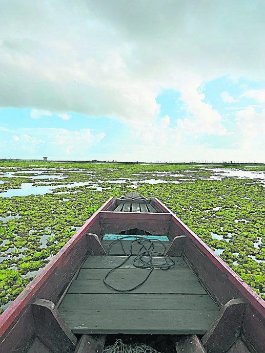 霹/第四版头/“幸运一条龙”优惠星洲人 金世纪包火车直通合艾2.0