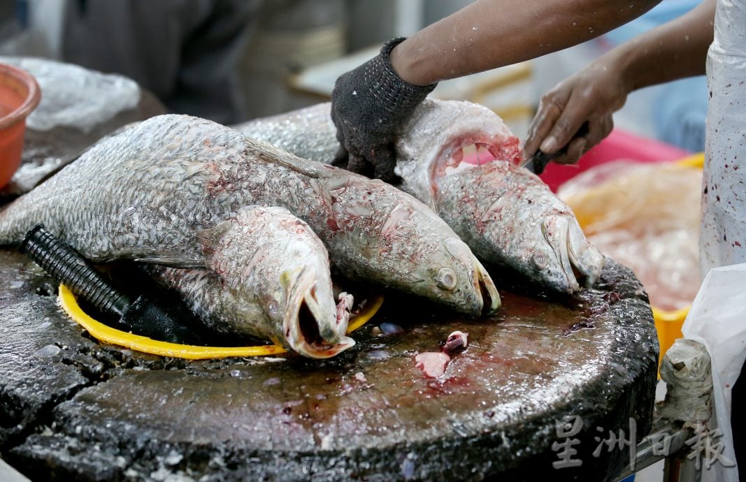 霹:巴刹职人/26日见报/封底主文/怡保狮尾巴刹鱼贩姐弟 手起刀落的真功夫