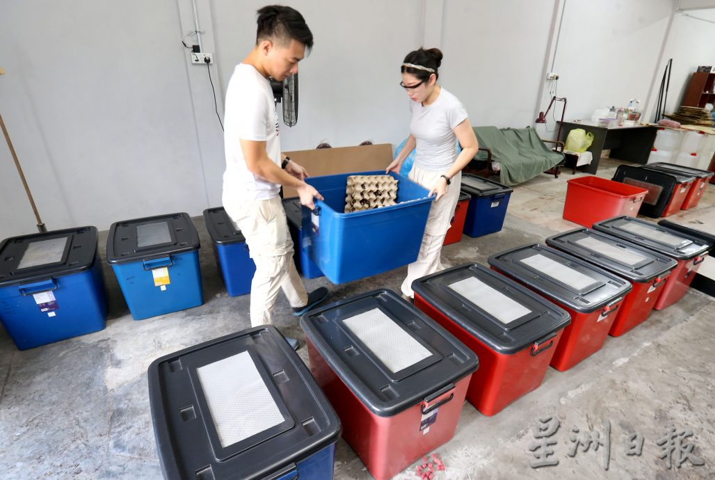 霹;25日见报/封底主文/青创家园︱科技青年回乡变化工 网络便利接全国订单