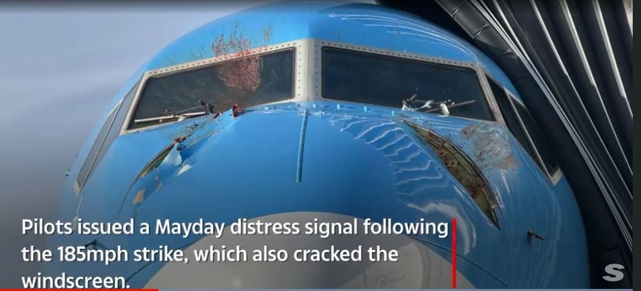 高空撞天鹅 波音客机发“Mayday”求救 挡风玻璃溅血　机身破洞急降落